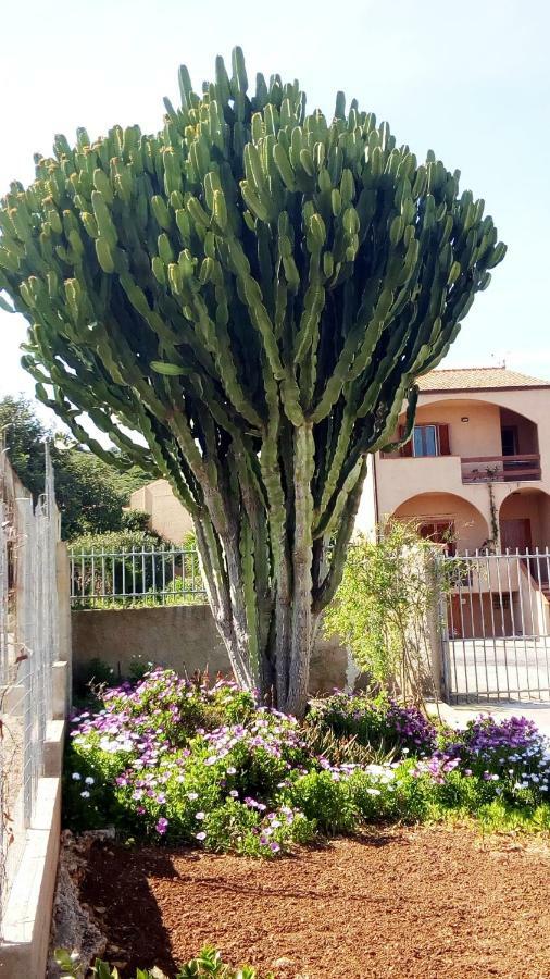 Privacy & Relax In Sardegna Bed & Breakfast Porto Conte Exterior photo